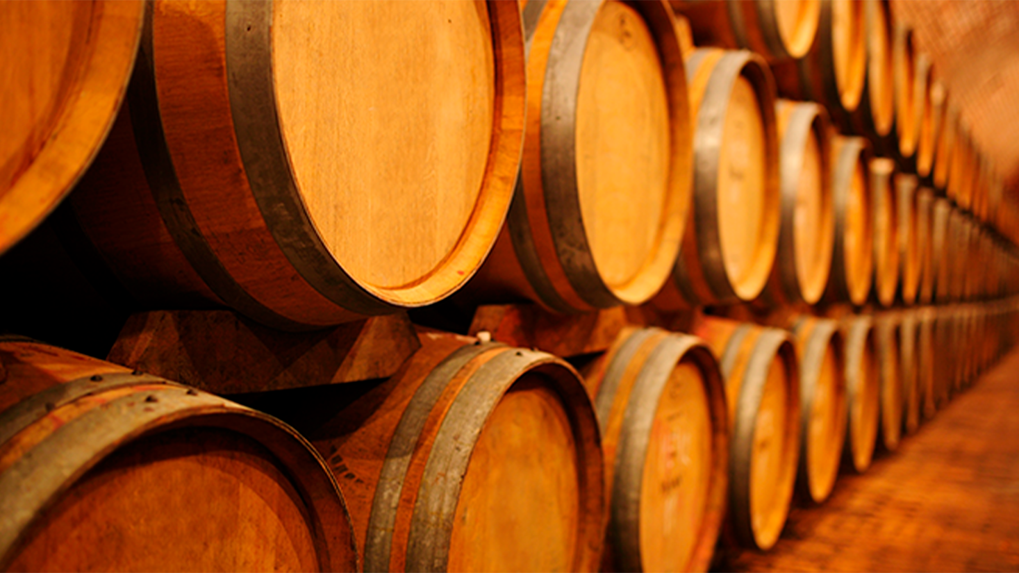 Setor da cachaça teme pela destruição de sua cadeia produtiva